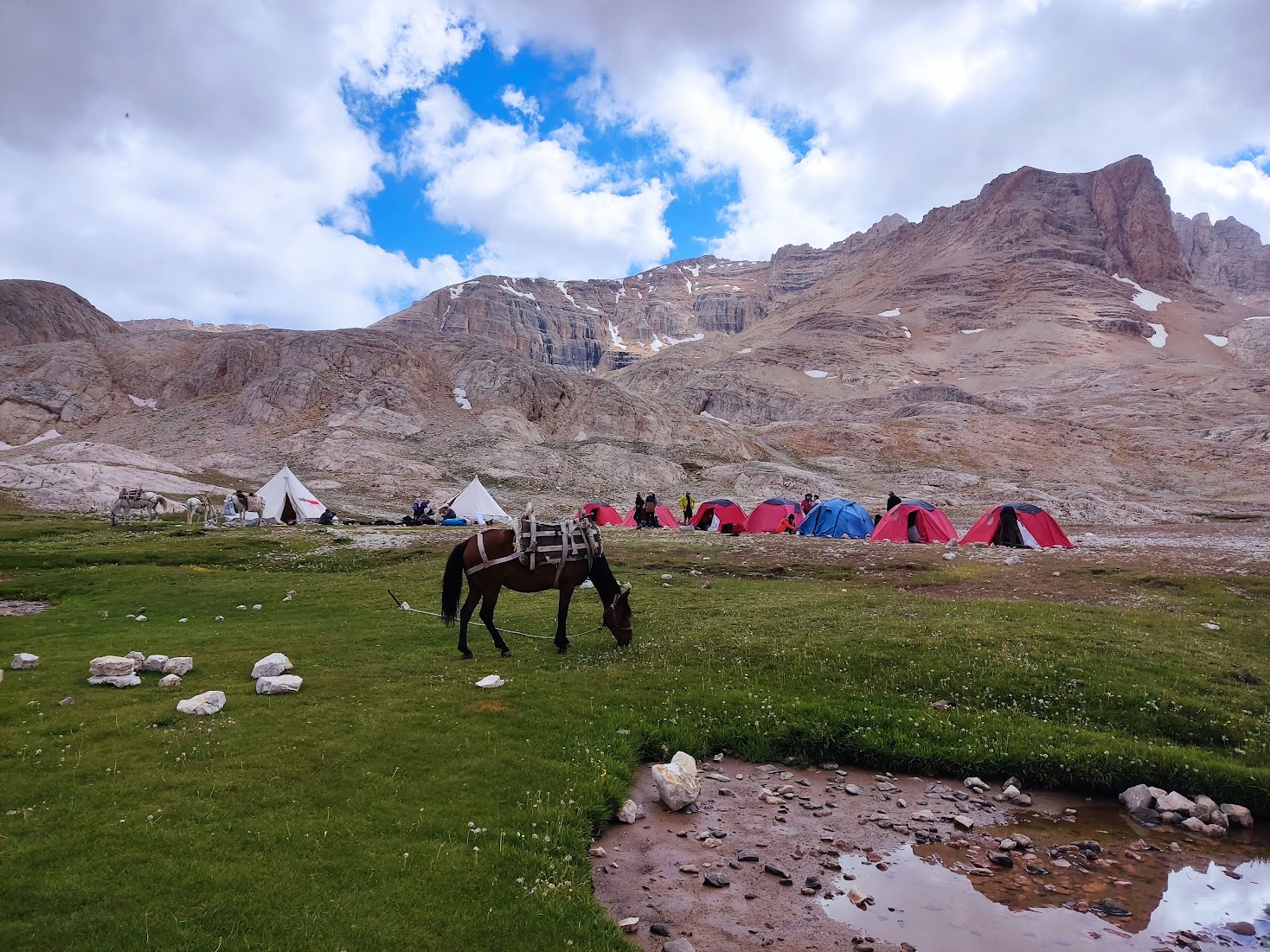 Cheval bâté broutant dans une prairie près d'un campement de tentes au pied de montagnes rocheuses