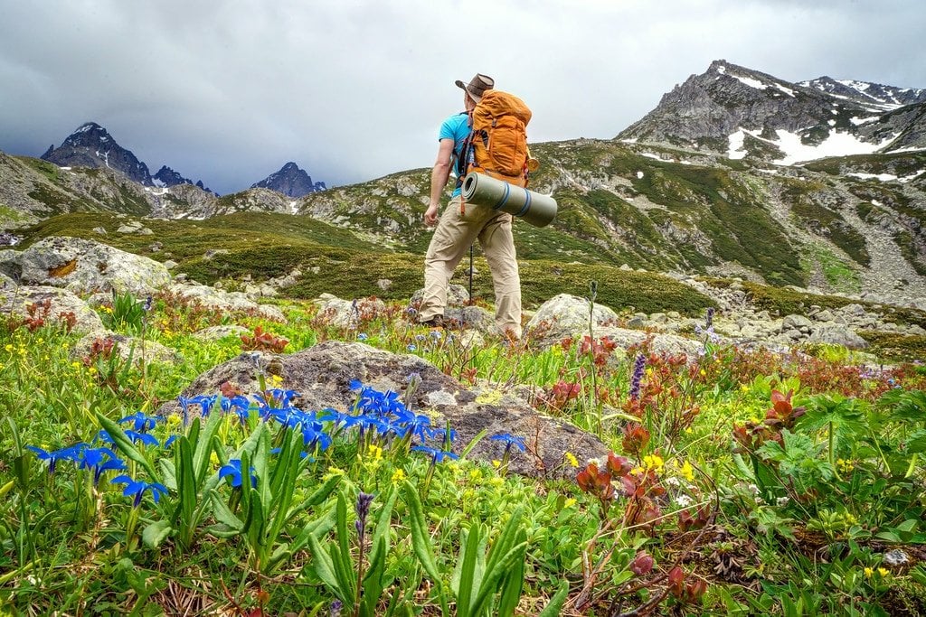 Personne avec sac à dos orange et chapeau marchant dans une prairie fleurie face à des montagnes rocheuses.