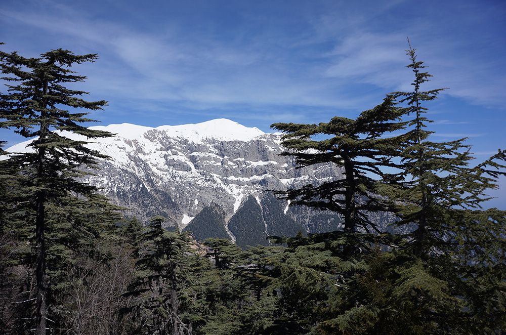 Le massif du Tahtalı vu depuis les forêts de cèdres